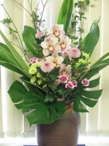 今週のお花　2014/9/8