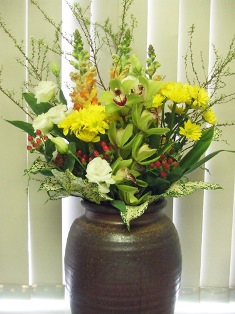 今週のえばた歯科のお花　2015/03/16