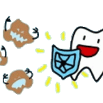 正しい歯のお手入れについて