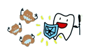 正しい歯のお手入れについて