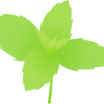 ミントタブレットは口臭には効かない？！