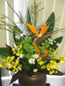 今週のお花　2016/3/28