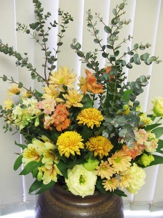 2016年12月26日のお花