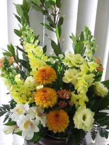 今週のお花　2017/1/23