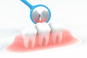 歯のそれぞれの役割について
