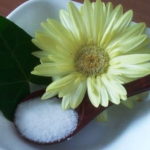 キシリトールとリカルデントの違いって何?